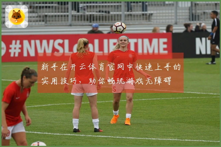 新手在开云体育官网中快速上手的实用技巧，助你畅玩游戏无障碍