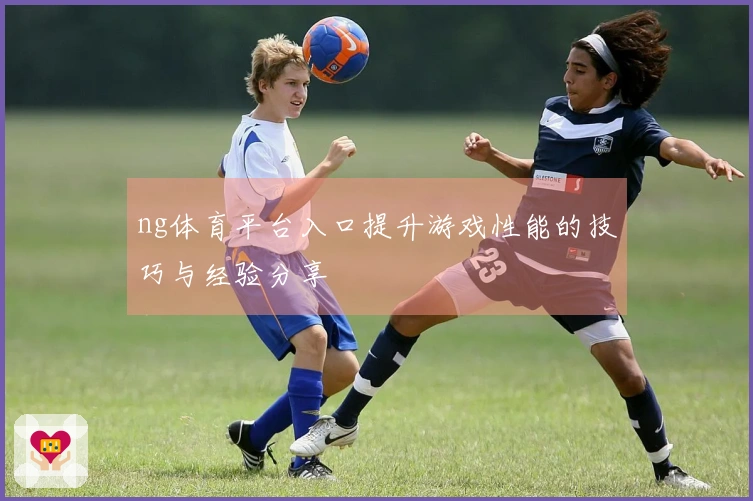 ng体育平台入口提升游戏性能的技巧与经验分享